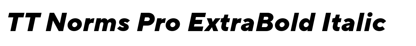 TT Norms Pro ExtraBold Italic